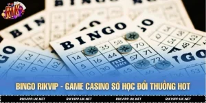 Bingo RIKVIP - Game Casino Số Học Đổi Thưởng Hot Nhất 2026