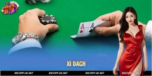 Xì Dách Từ Cơ Bản Đến Nâng Cao, Chơi Thông Minh Để Ăn Dài